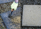 Blackspot & Green Growths Remover