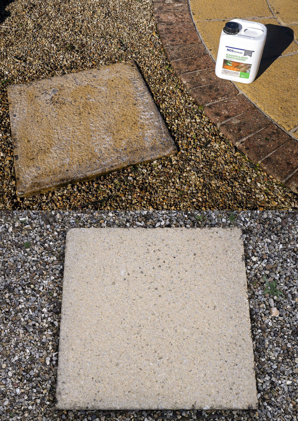 Blackspot & Green Growths Remover