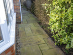 Blackspot & Green Growths Remover